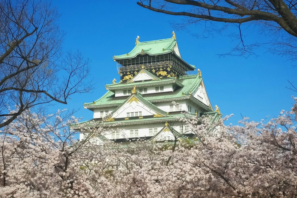 大阪城公园一年四季怎么玩:梅花、樱花、红叶和夜景