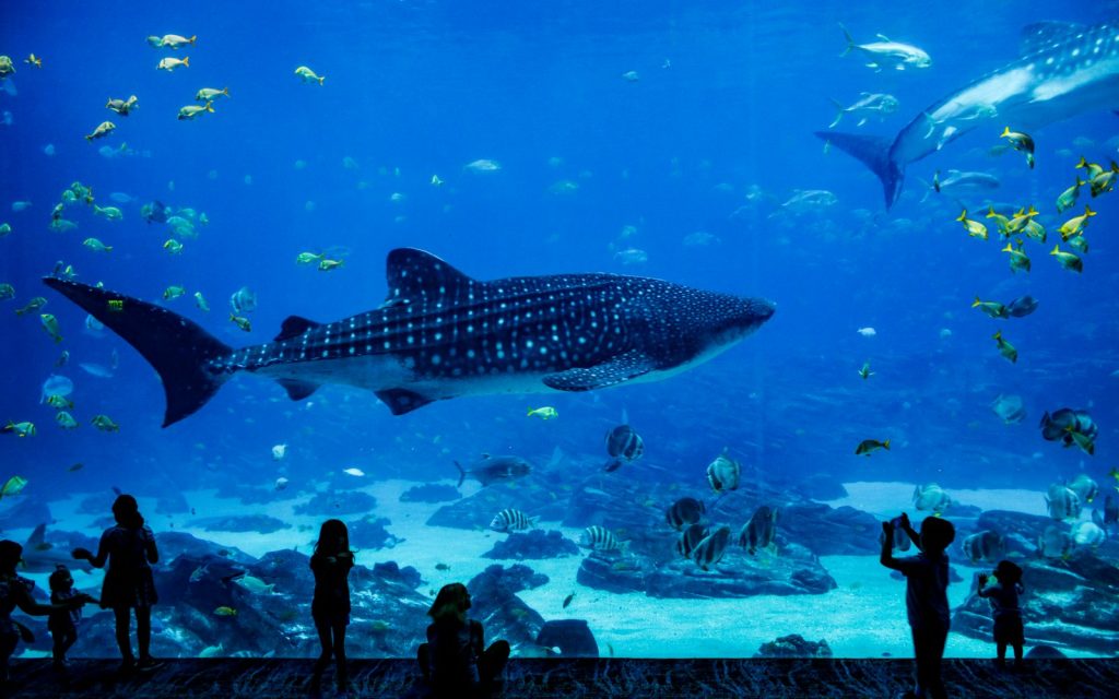水族馆