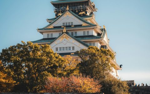 大阪城（活动所在的大阪城公园）