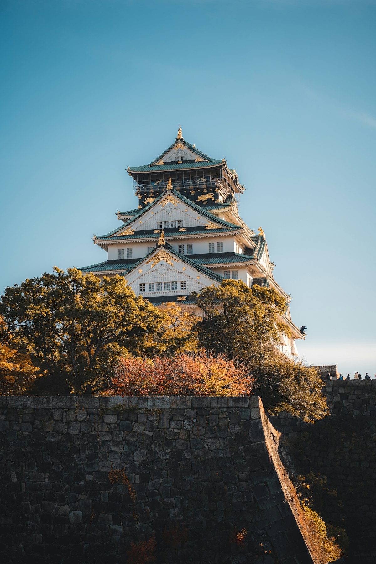 大阪每周好玩 2026-W45｜烤红薯节、御堂筋亮灯、光影《四季》（11/2–11/8）